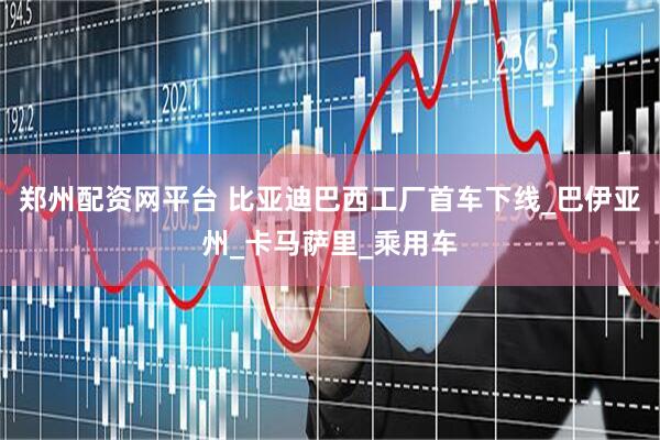 郑州配资网平台 比亚迪巴西工厂首车下线_巴伊亚州_卡马萨里_乘用车
