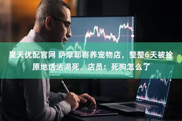 昊天优配官网 萨摩耶寄养宠物店，整整6天被拴原地活活渴死，店员：死狗怎么了