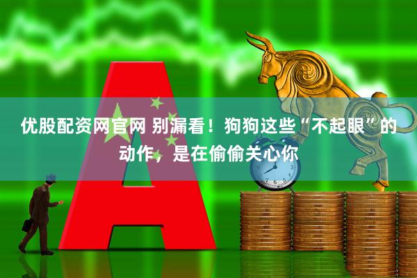 优股配资网官网 别漏看！狗狗这些“不起眼”的动作，是在偷偷关心你