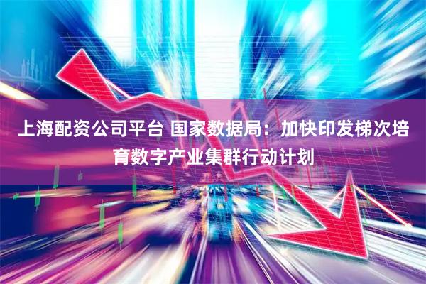 上海配资公司平台 国家数据局：加快印发梯次培育数字产业集群行动计划
