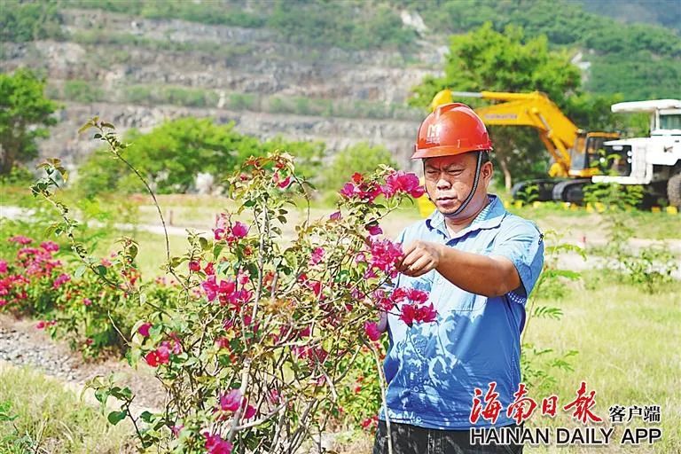 海南这座矿山，为何这么绿？4.jpg